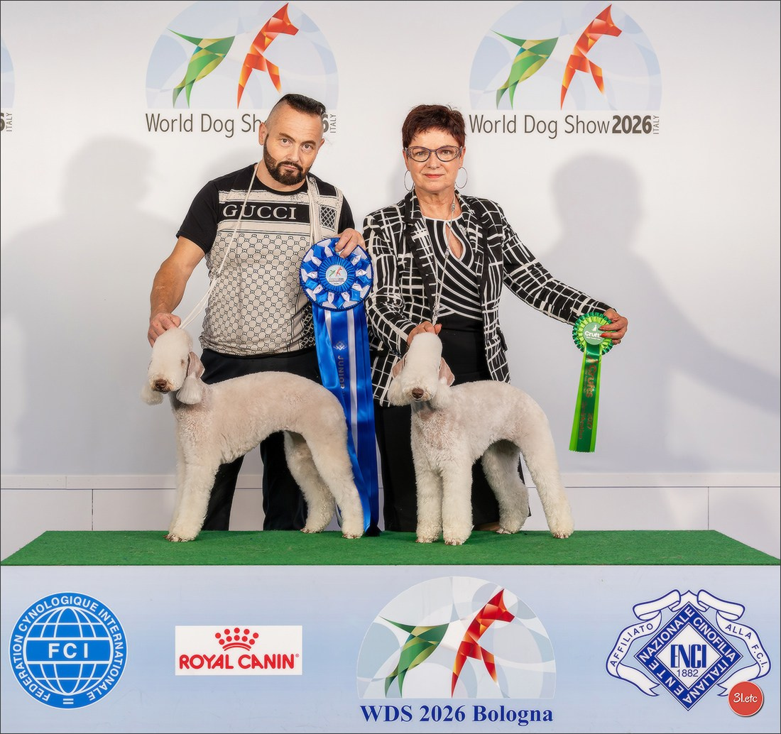 WDS 2026  🇮🇹  Bologna