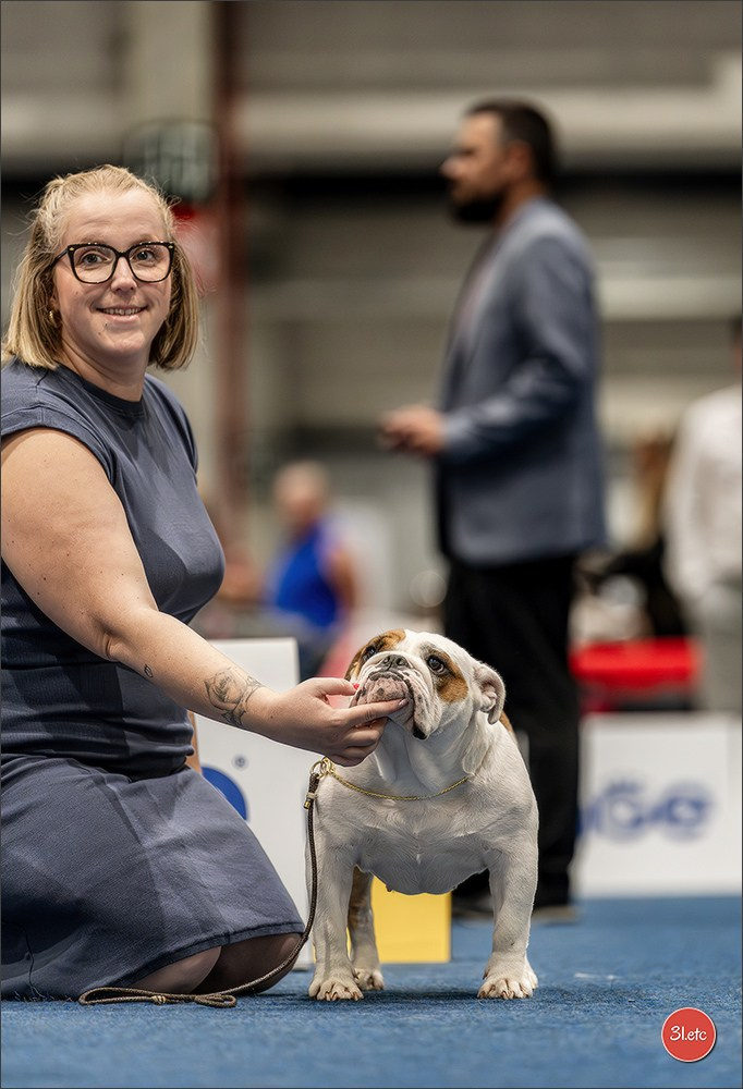 Dog Show Liege 🇧🇪 2026
