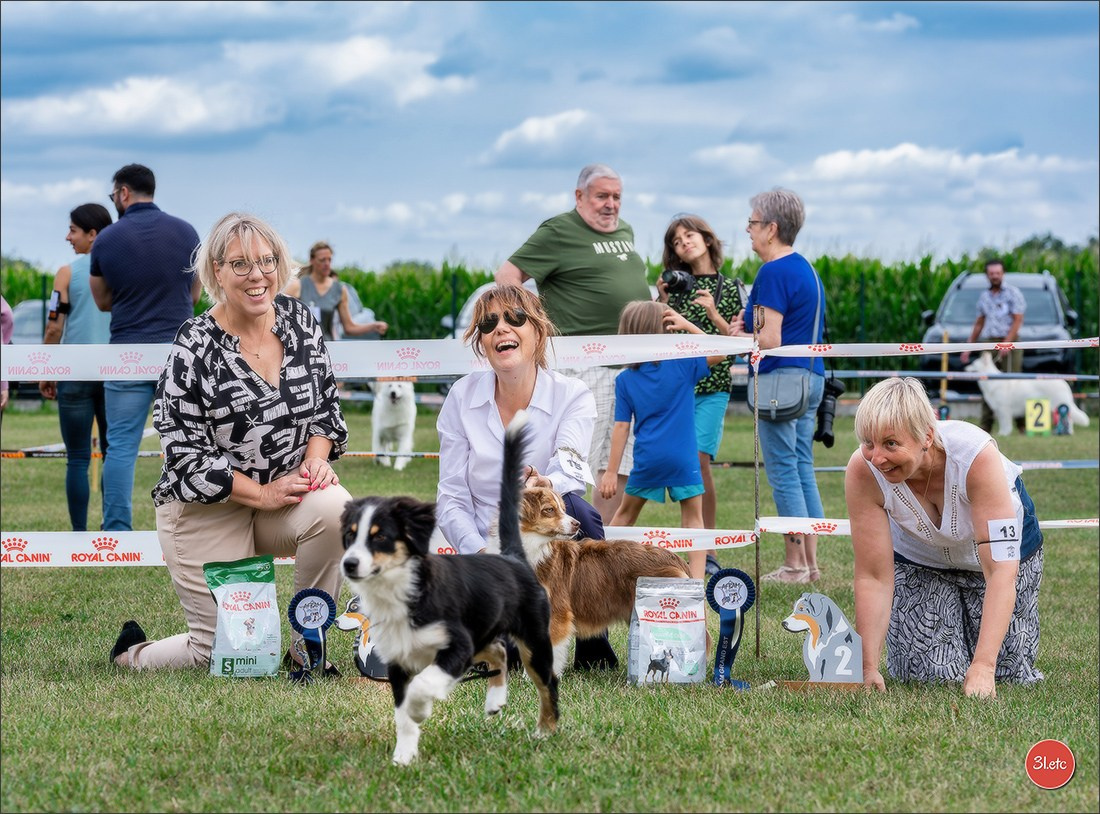 R.E. Berger Blanc Suisse - Beinheim 🇫🇷 (67)