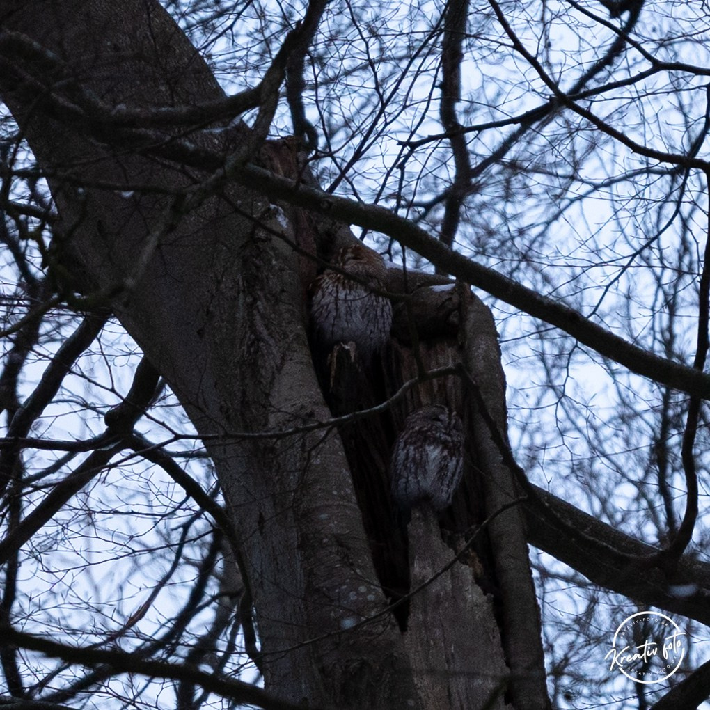 Vinter. Fotograf Aarhus | Portrætfoto Århus | Flotte billeder