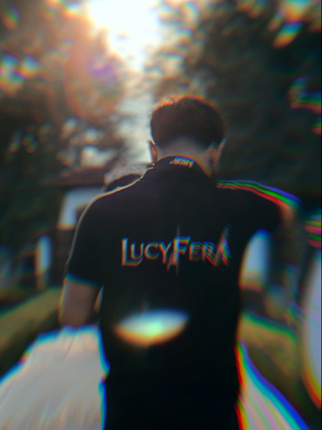 Servicios. Lucyfera Studio