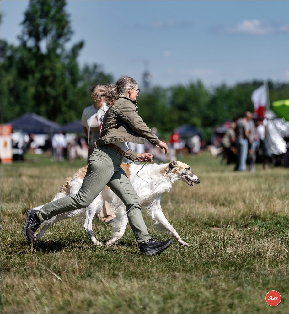 Dog Show - Hallbergmoos 🇩🇪 11-12/07/2026
