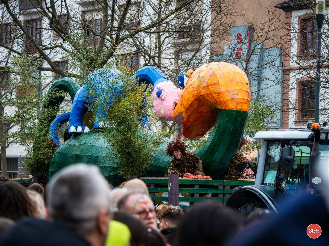Traditional February carnival. Music, dancing, costume performances. C. Photographe à Strasbourg | Portraits, Studio, Enfants, Événements