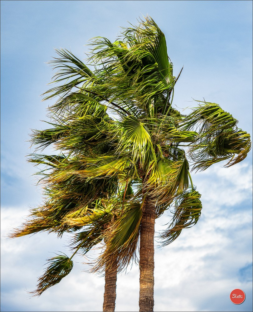 Martigues 19-20/04/2025. Photographe à Strasbourg | Portraits, Studio, Enfants, Événements