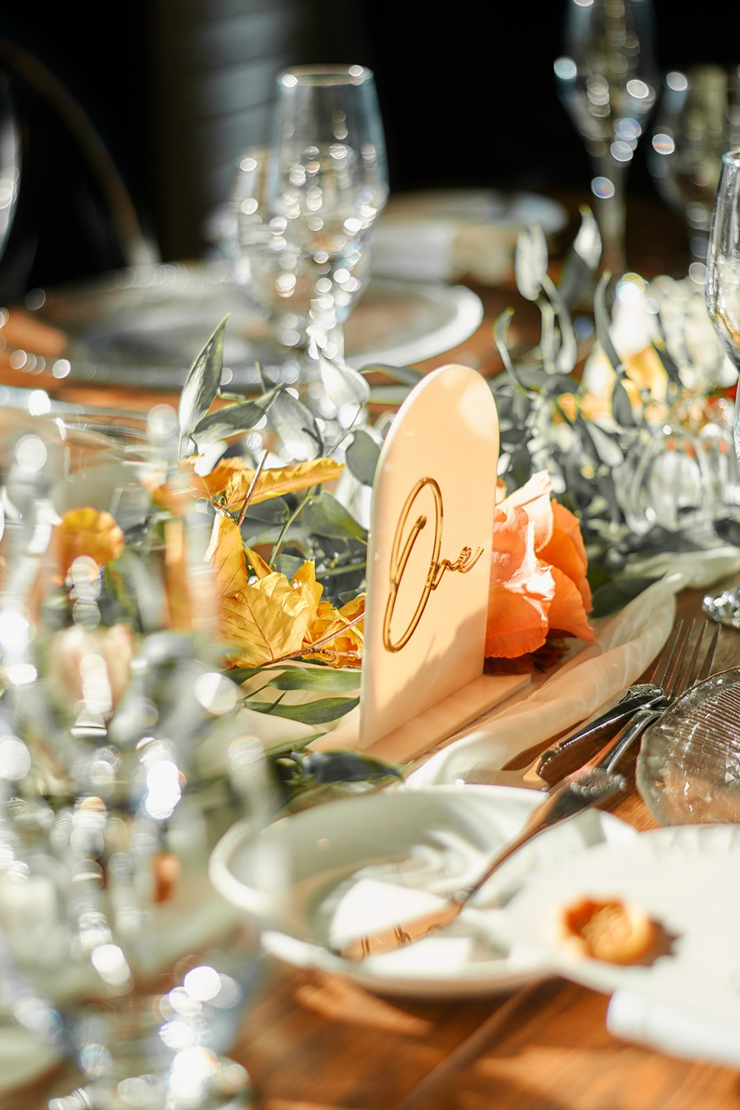 ARREN & MELISSA. Professional Wedding and event photographer USA New York