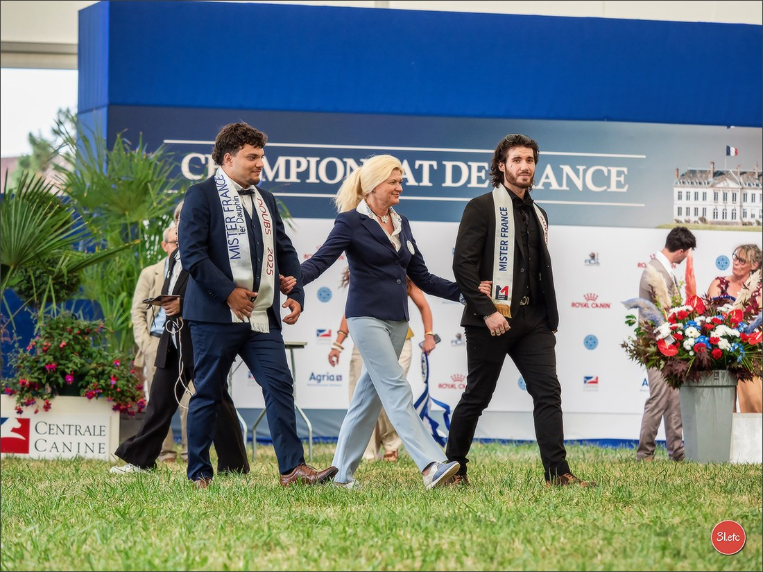 Championnat de France du chien de race  🇫🇷  DIJON (château de Brognon) 7-8/06/2025. Photographe à Strasbourg | Portraits, Studio, Enfants, Événements