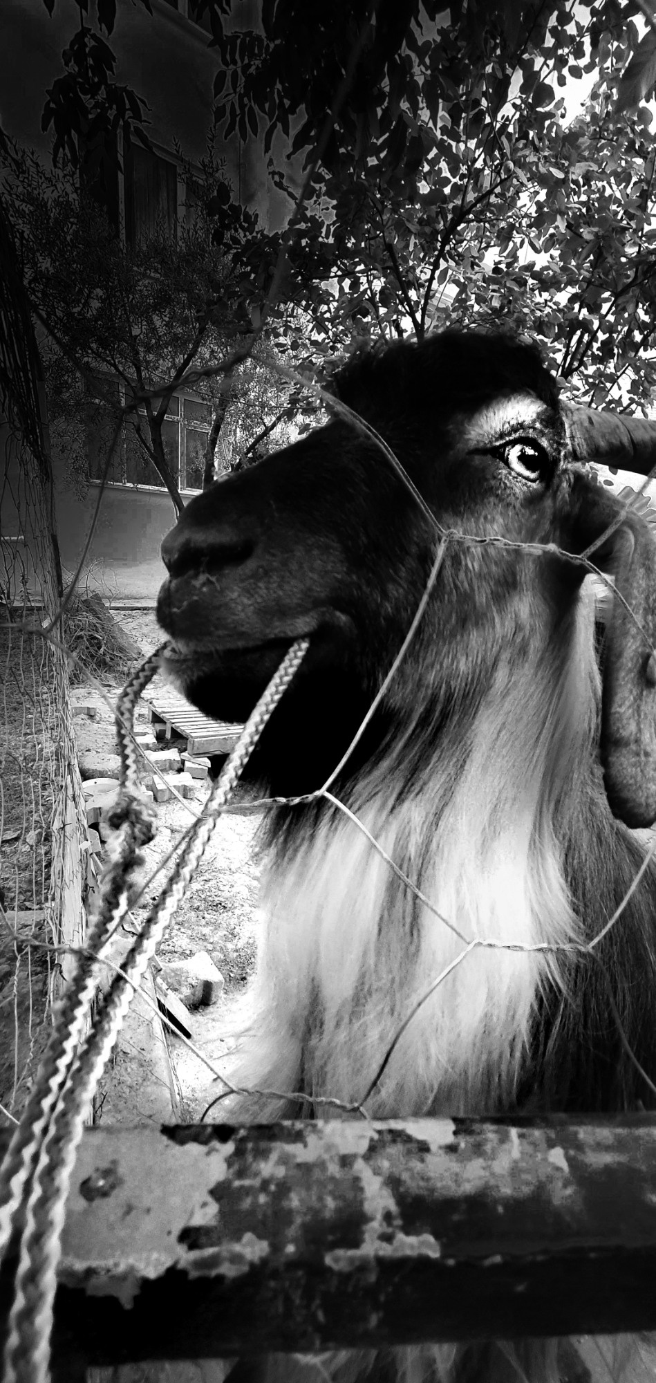 Street фото. Consultation on printing in various magazines, illustrations for books