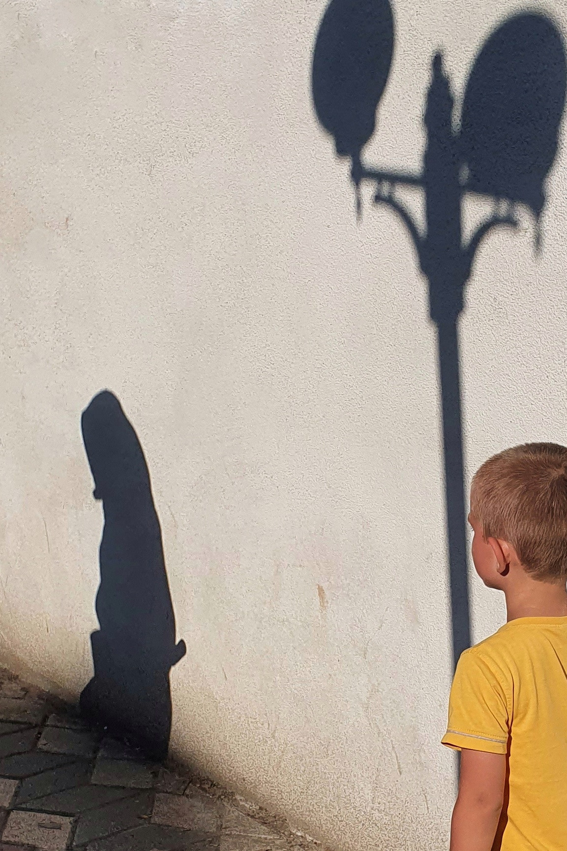 Abstractions and shadow. Consultation on printing in various magazines, illustrations for books