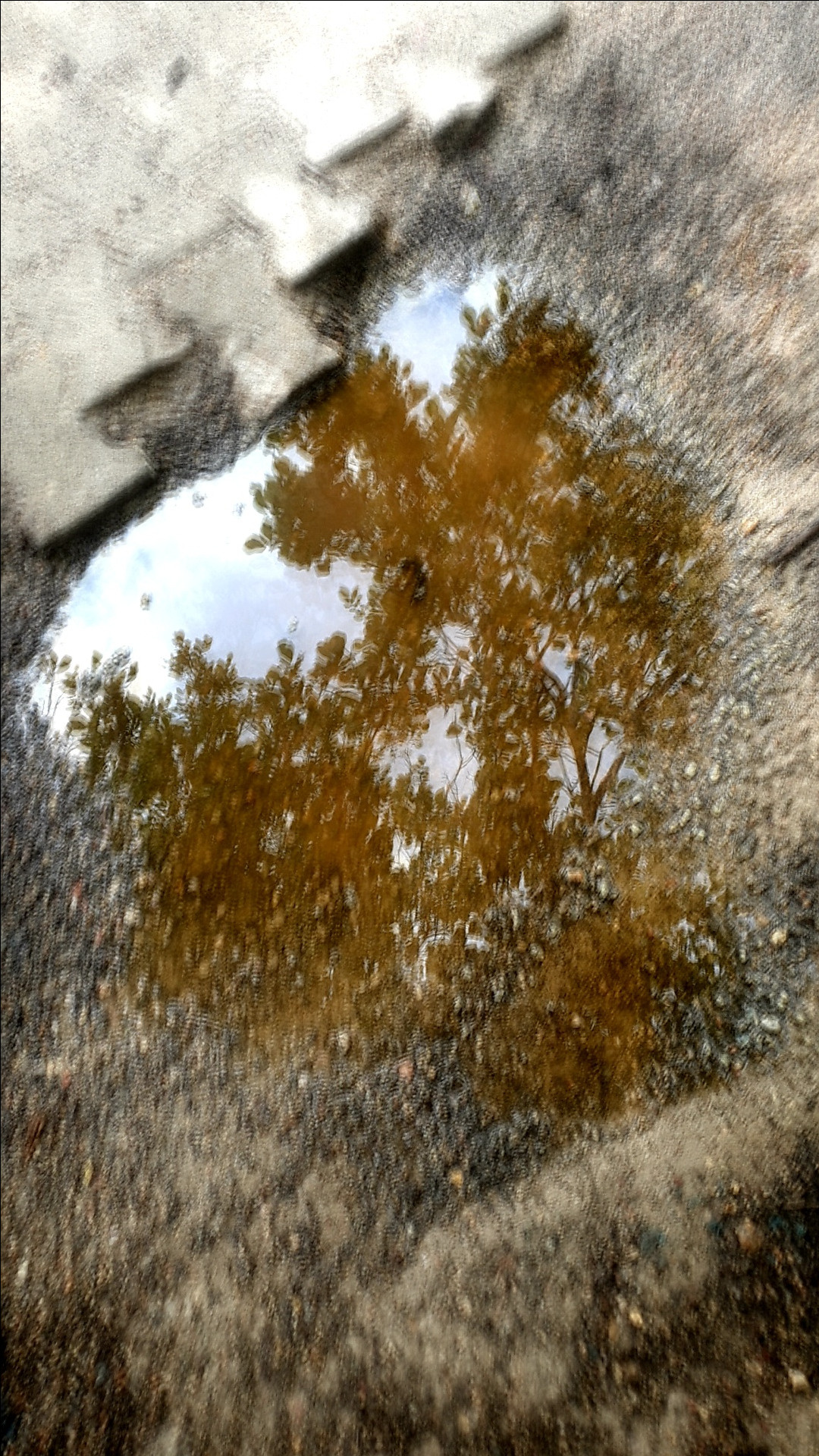 Abstractions and shadow. Consultation on printing in various magazines, illustrations for books