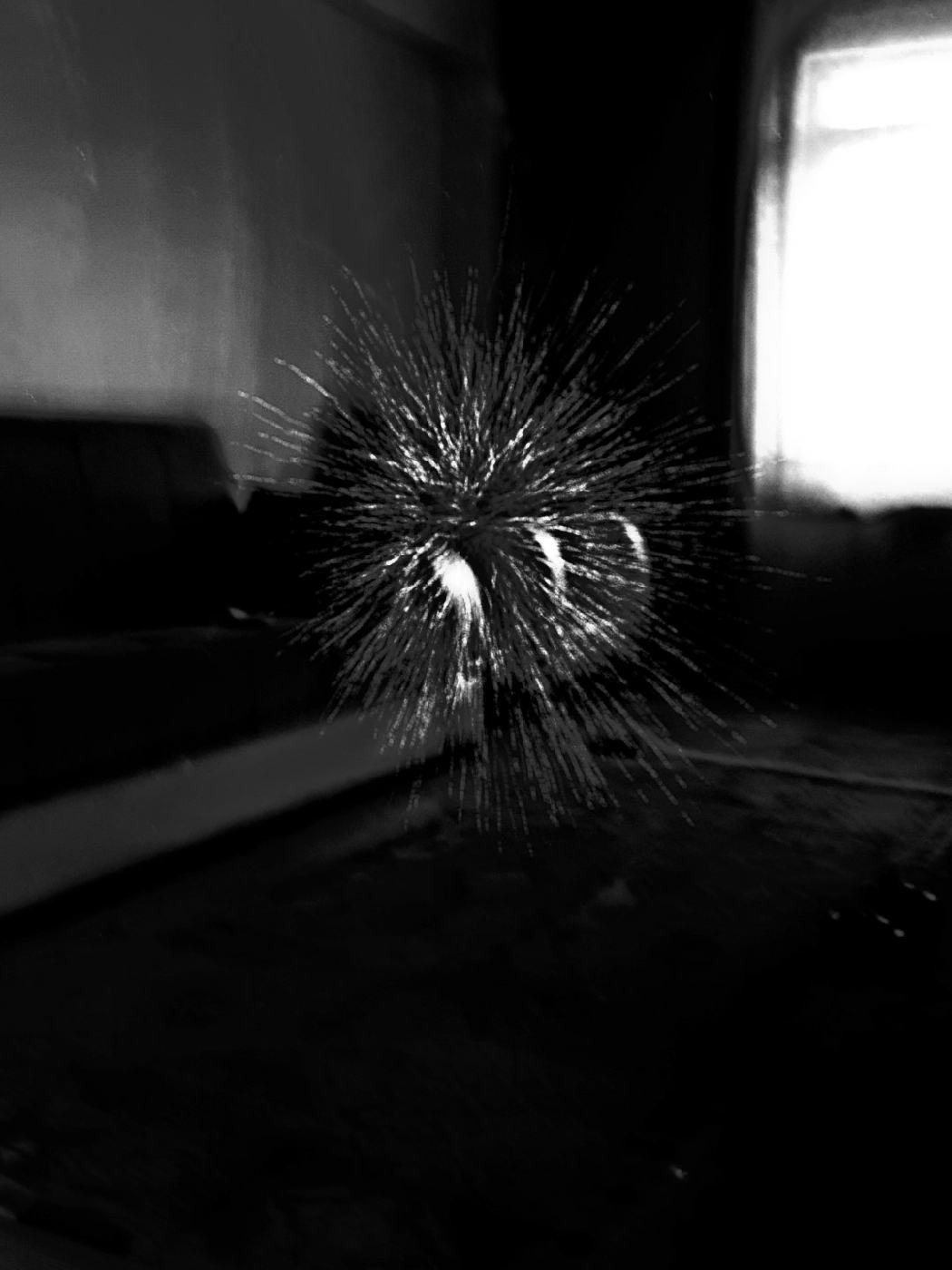 Abstractions and shadow. Consultation on printing in various magazines, illustrations for books