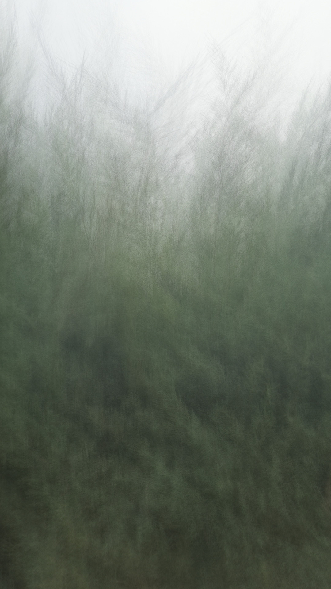 РАЗНОЕ. Современное искусство, глитч арт, glitch art