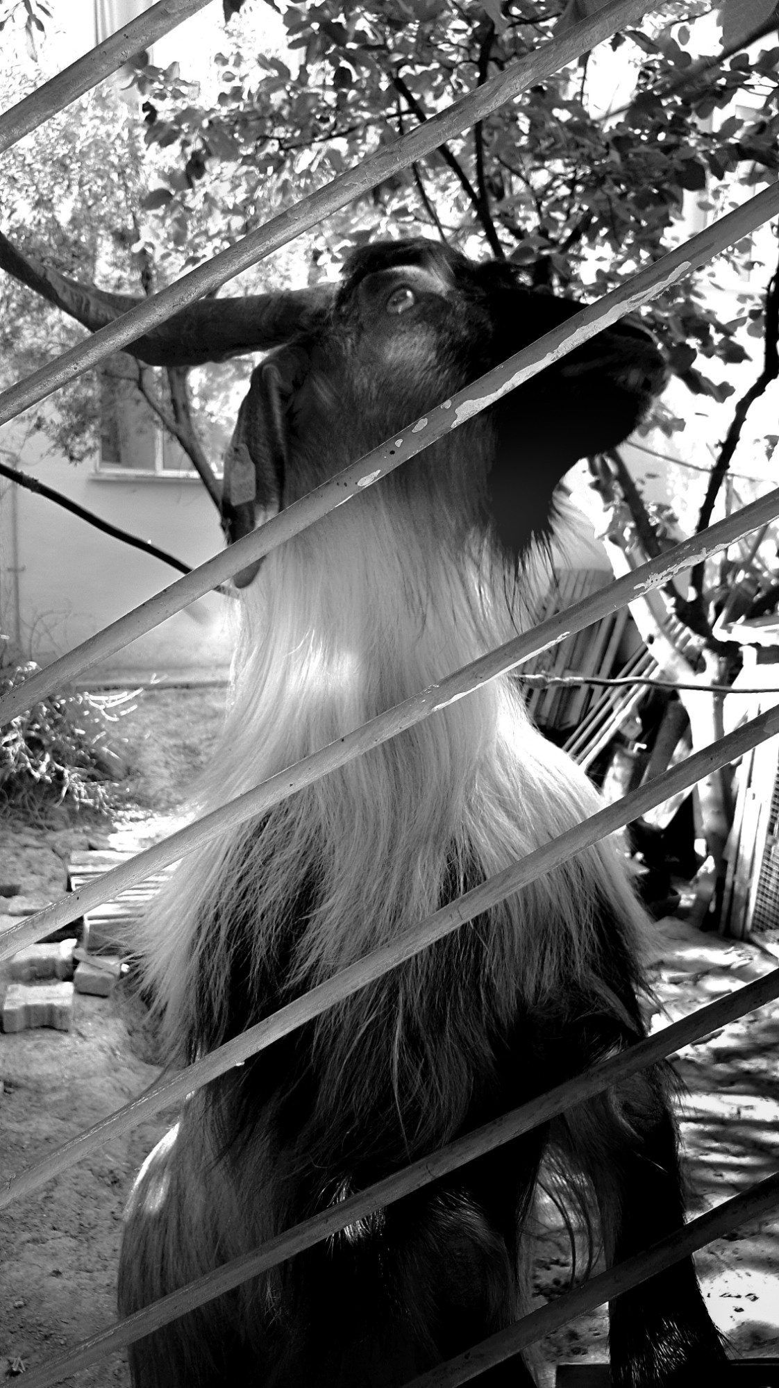 Street фото. Consultation on printing in various magazines, illustrations for books