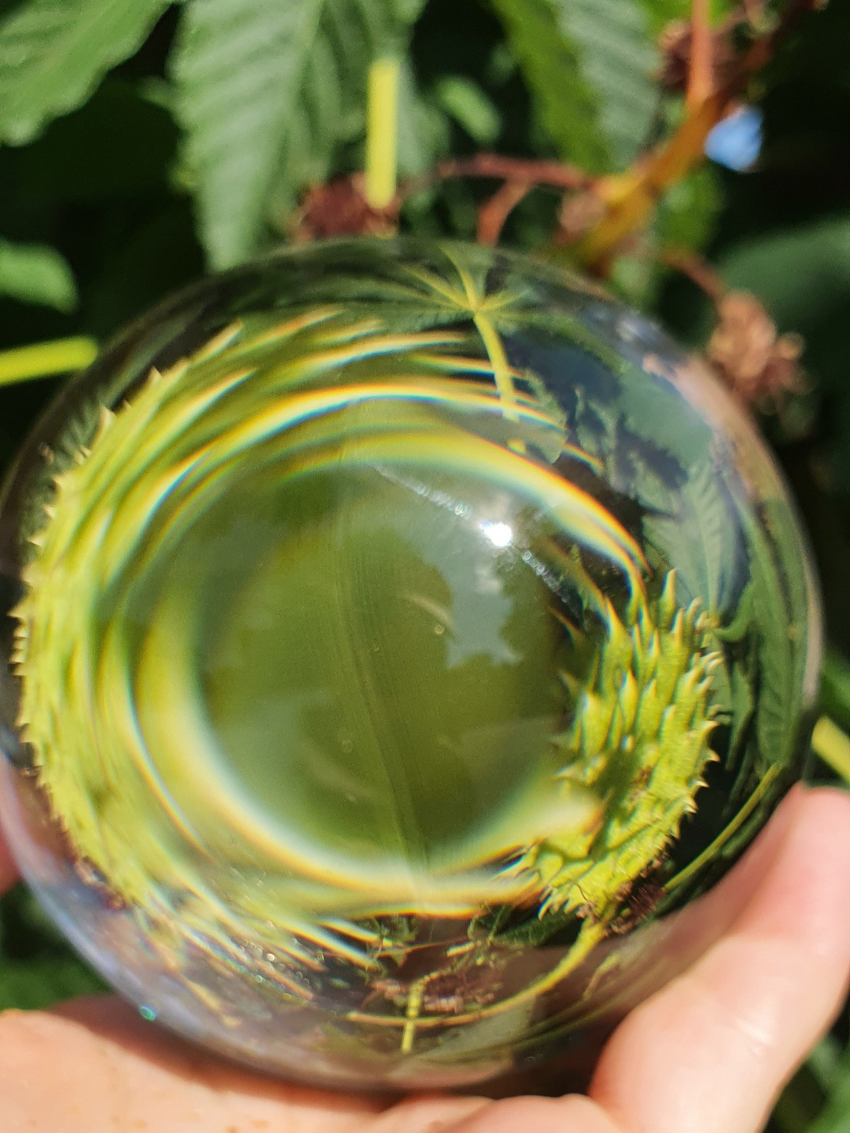 Abstractions and shadow. Consultation on printing in various magazines, illustrations for books