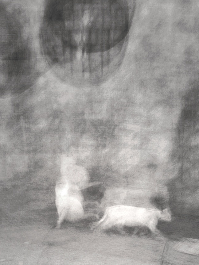 Abstractions and shadow. Consultation on printing in various magazines, illustrations for books