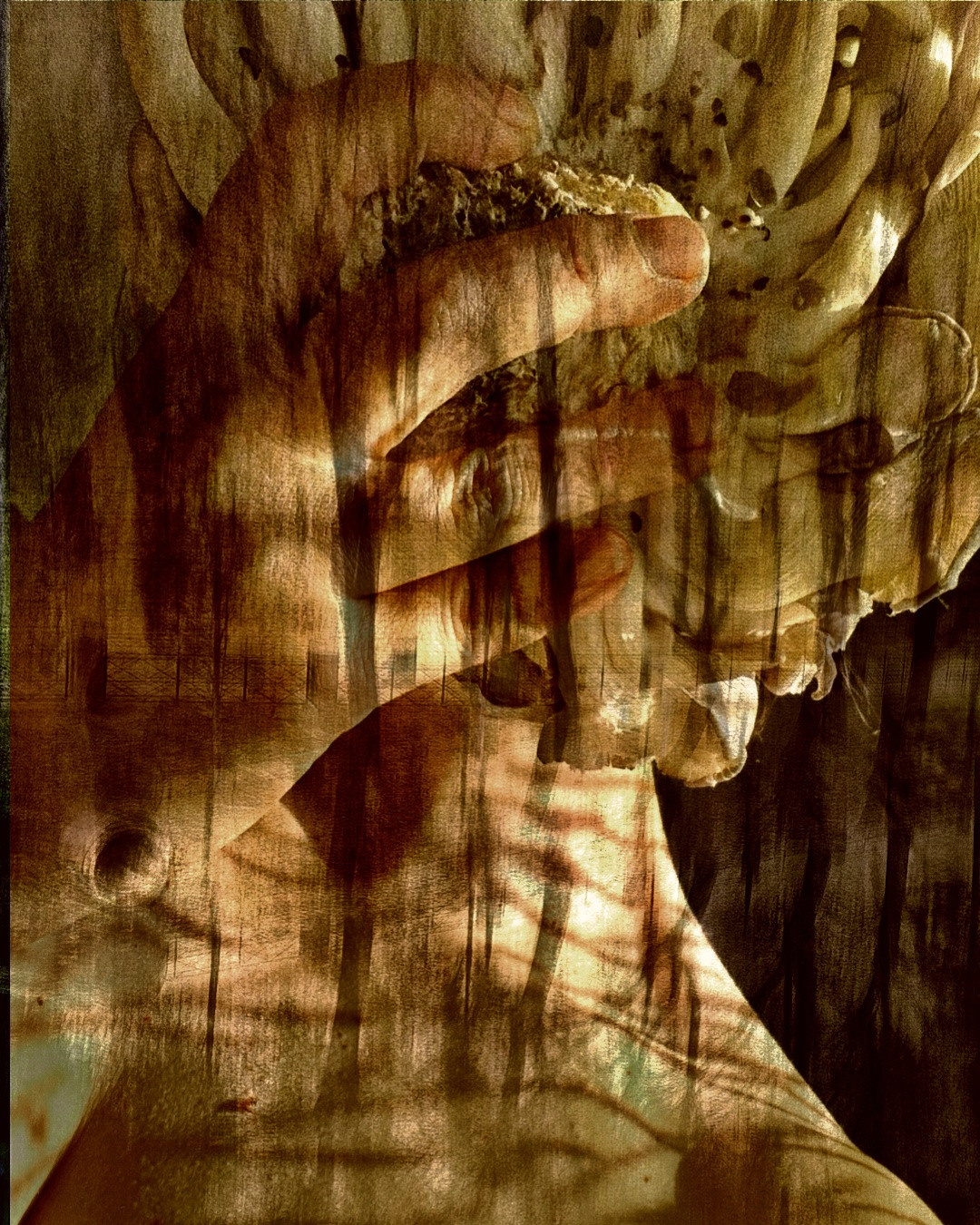 Abstractions and shadow. Consultation on printing in various magazines, illustrations for books