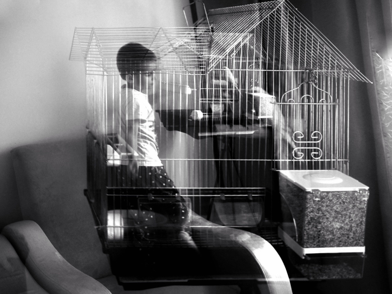 Abstractions and shadow. Consultation on printing in various magazines, illustrations for books