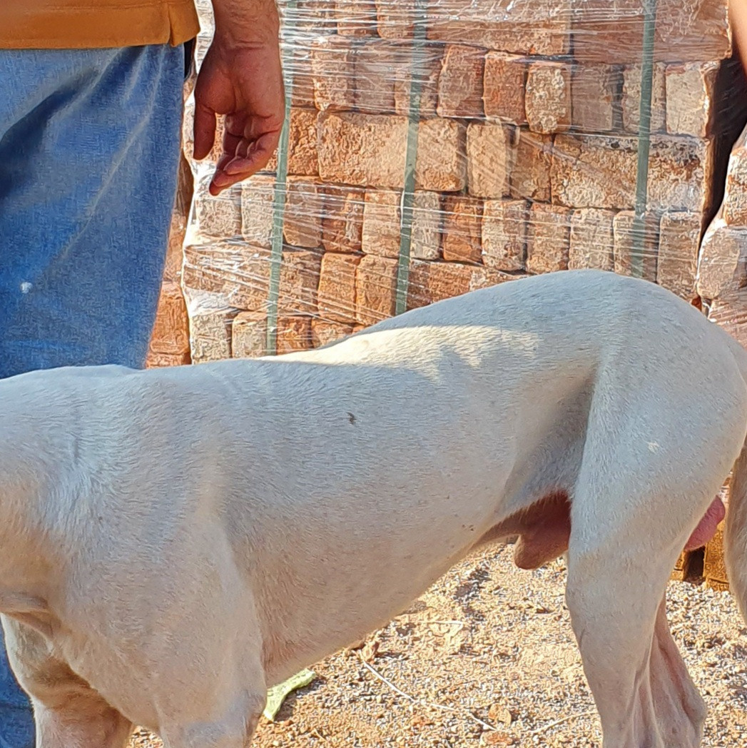 Street фото. Consultation on printing in various magazines, illustrations for books