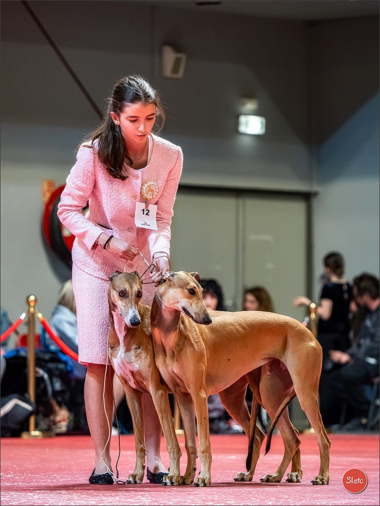 Expo canine 🇫🇷 Martigues  19-20/04/2025. Photographe à Strasbourg | Portraits, Studio, Enfants, Événements