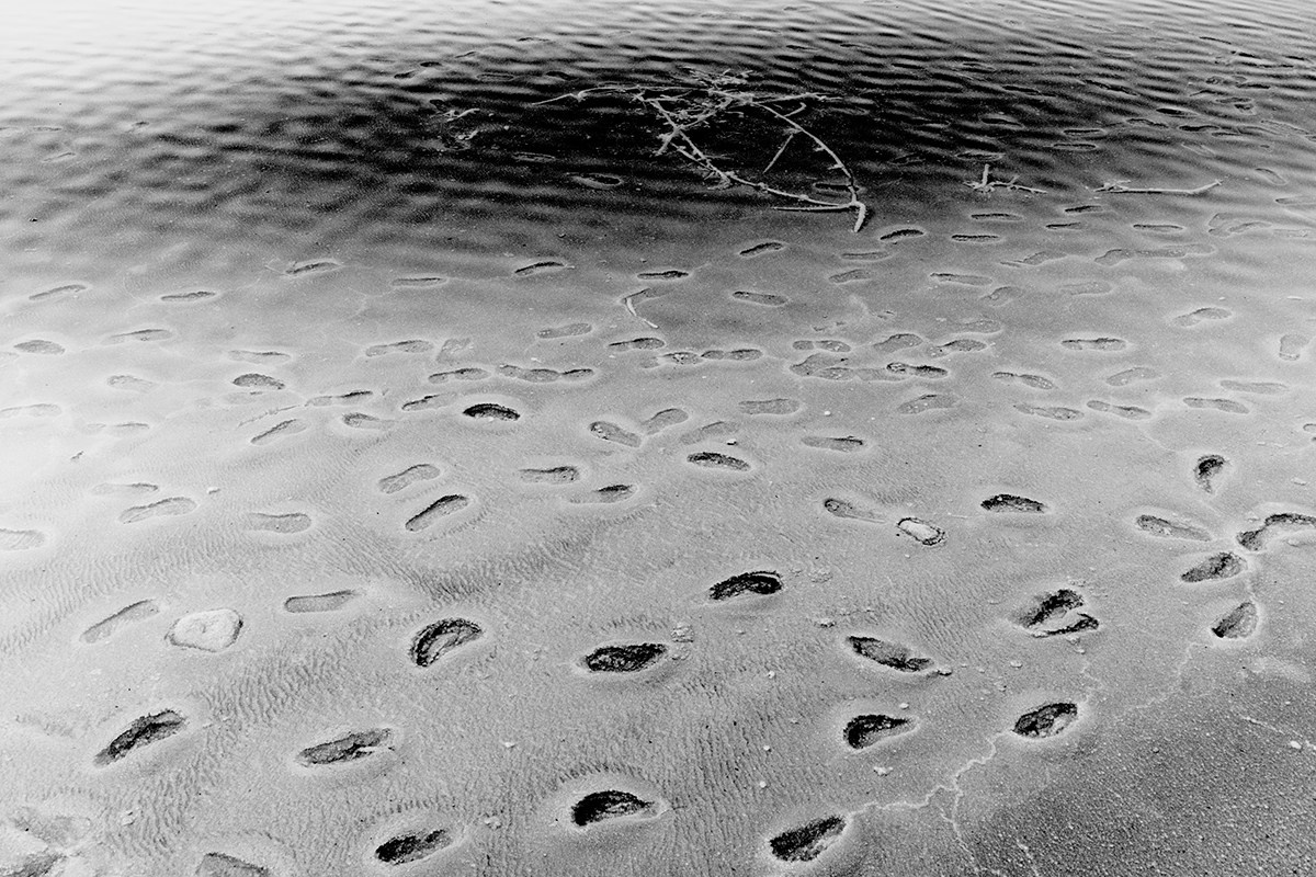 Minimalism. Photographer in Israel Maxim Sayapin