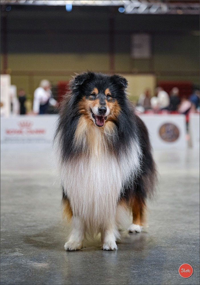 Expo canine 🇫🇷 Martigues 18-19/04/2026