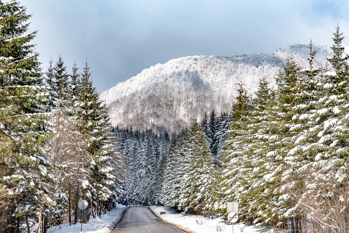 Călătorie. Daniel Hașiegan
