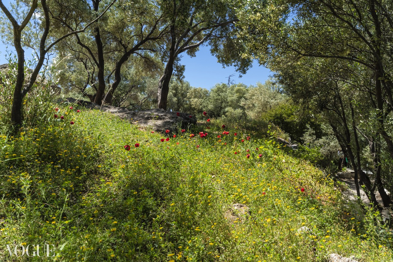 Красота садов и парков. Суть фотографии в стиле изобразительного искусства