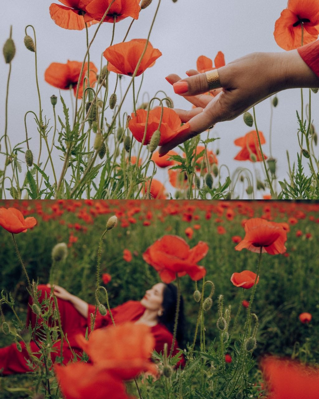 Yulia. Семейный фотограф. Сербия. Нови-Сад. Белград