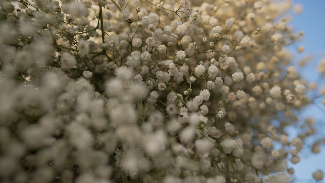 VIA / BASICO. Wedding and events photographers Studio Shalom