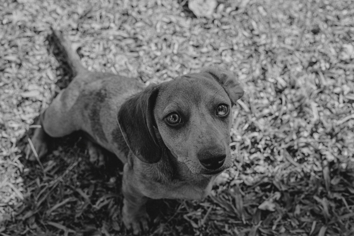 Fotografia pra mim. Fotógrafa de Eventos em São Paulo e Sorocaba Kika Damasceno