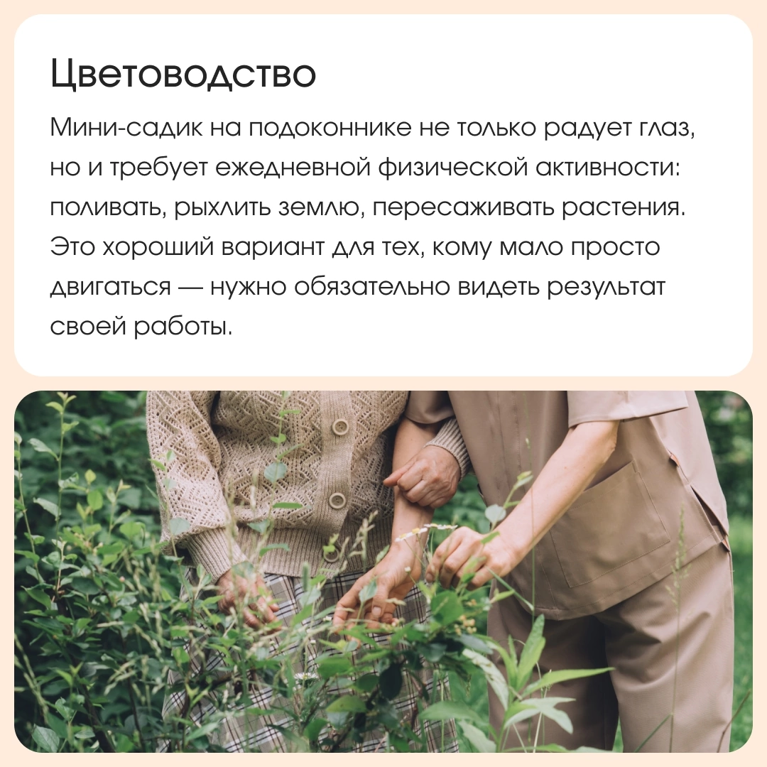 Помощники. Stylist