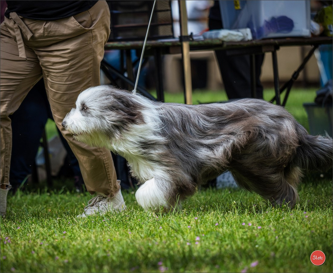 Photographie animalière. Photographe à Strasbourg | Portraits, Studio, Enfants, Événements