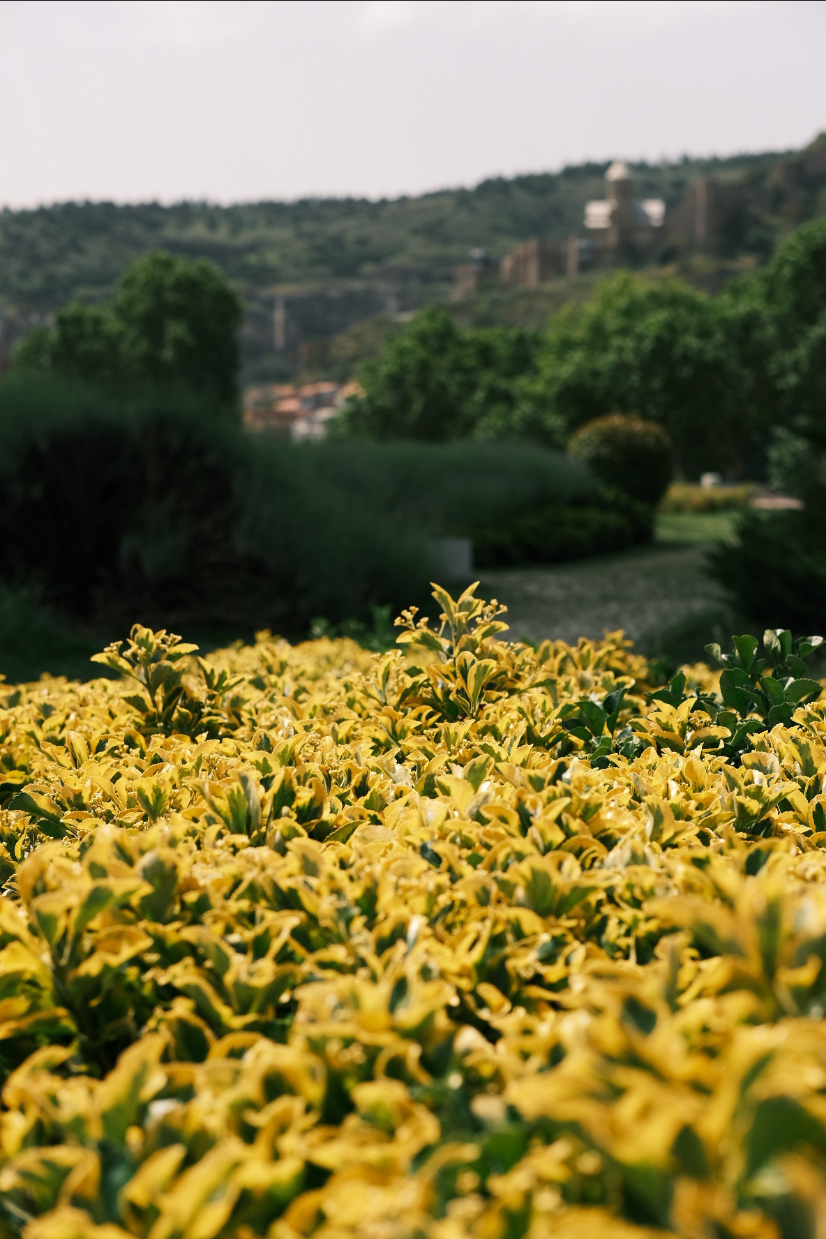 Rike Park. @Gio.Fujifilm official Fujifilm Ambassador & X-Photographer in Georgia