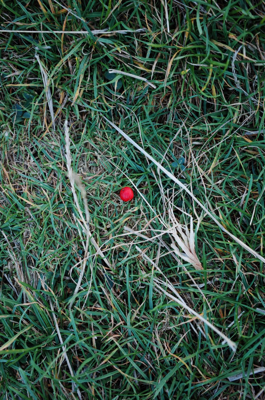 Viktoriia Road. Victoria Dini. Art photography in London / Folkestone, UK