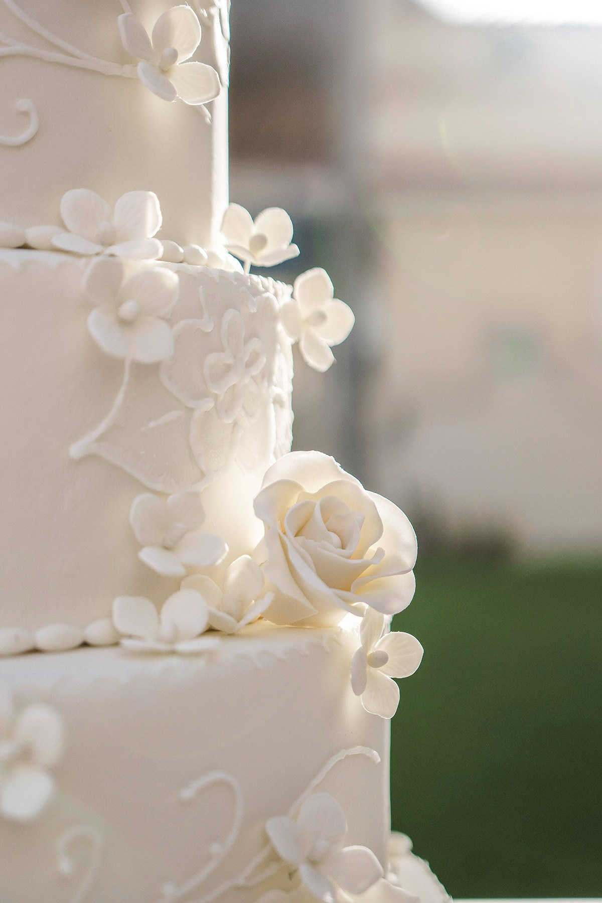 WeddingPhotos. Wedding photos and videos. Cancun, Tulum, Playa del Carmen, Los Cabos