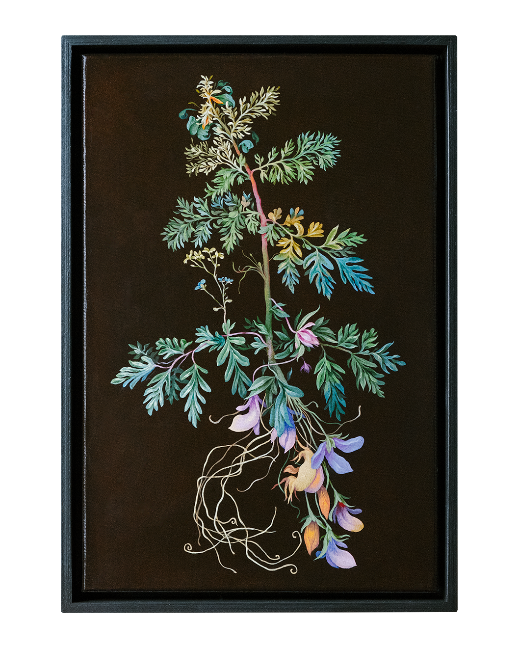 Botanical Etude No. 2. ELEN BEZHEN