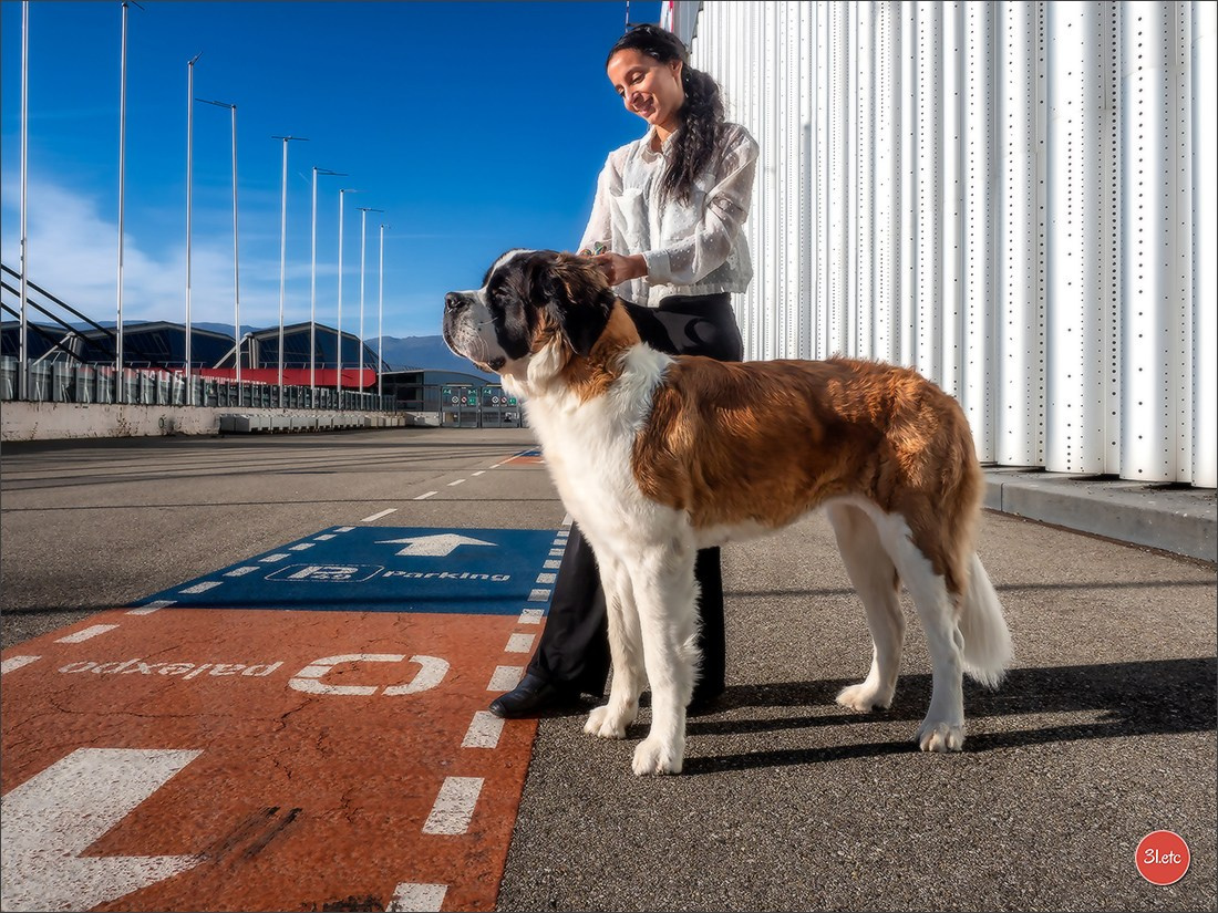 🇨🇭 Geneva Dog Show 15-17/11/2024. Photographe à Strasbourg | Portraits, Studio, Enfants, Événements