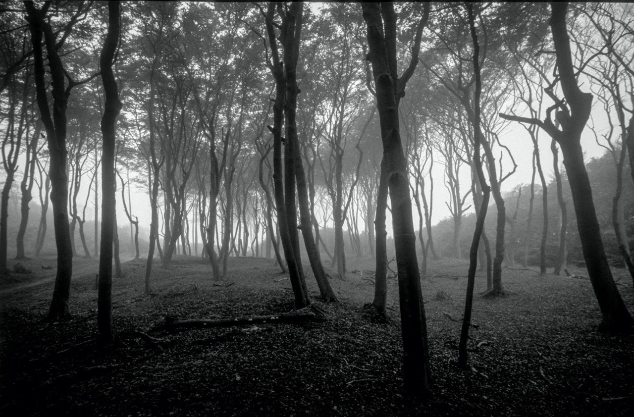 Sacra Natura. Katerina Kiper Photography