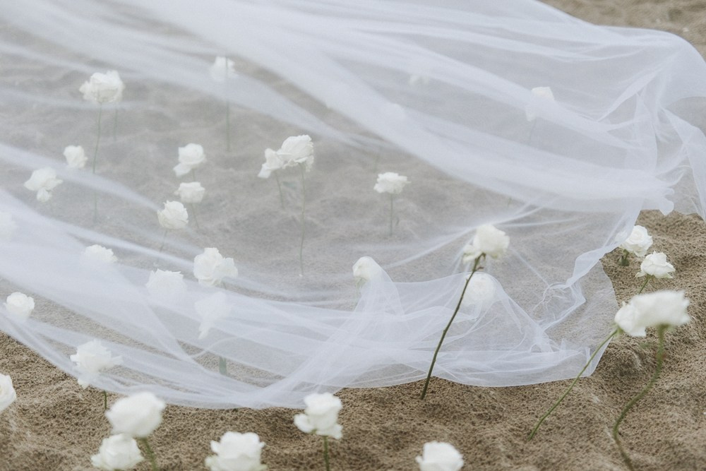 Anastasia & Alex (Freie Trauung am Meer in Holland - nur zu zweit). Hochzeitfotografin Düsseldorf, NRW Nadja Holzmann