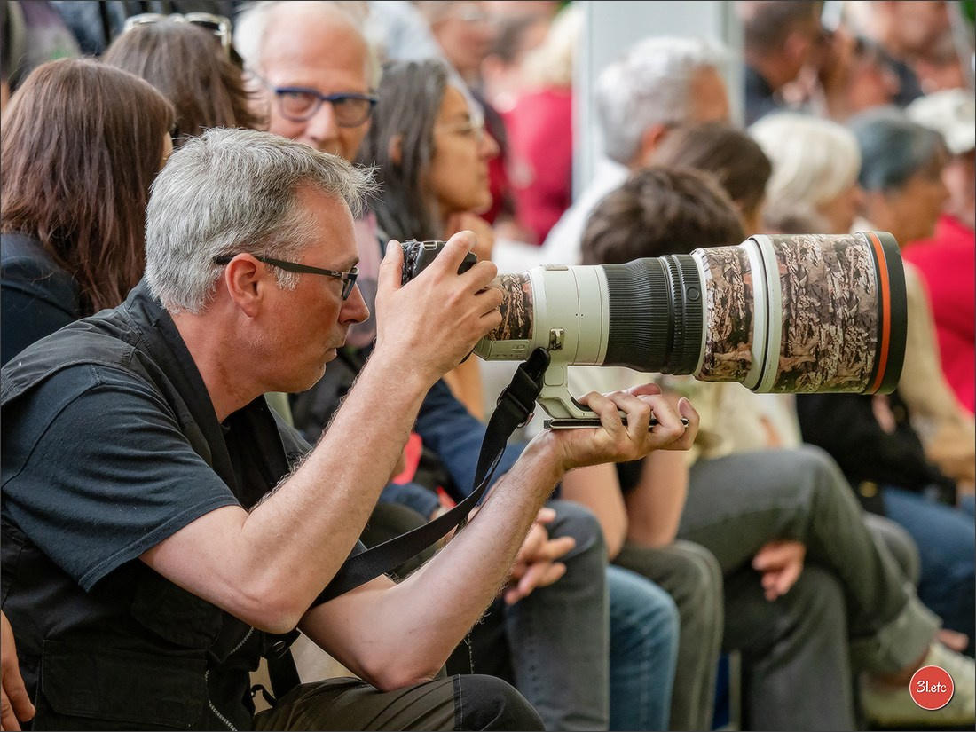 Championnat de France du chien de race  🇫🇷  DIJON (château de Brognon) 7-8/06/2025. Photographe à Strasbourg | Portraits, Studio, Enfants, Événements