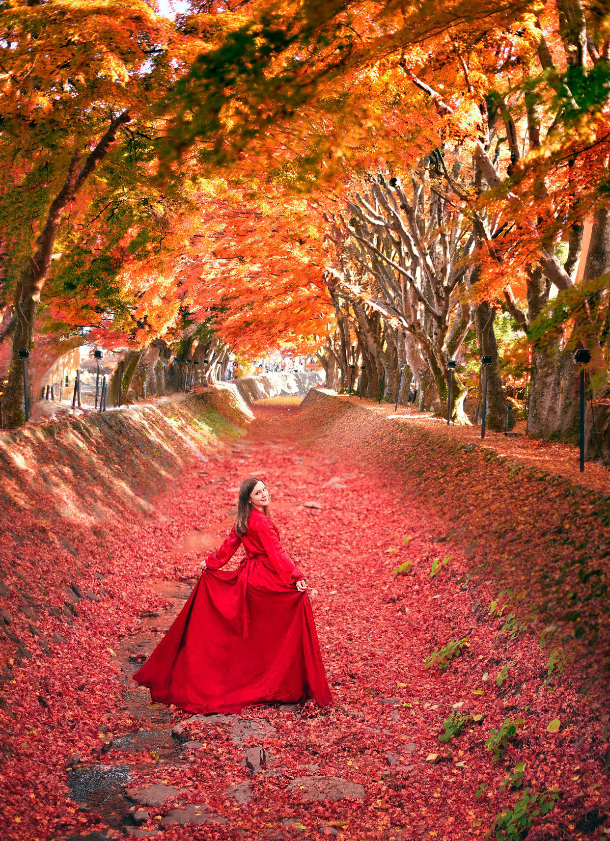 Fairy Tales. Photographer in Tokyo, Japan