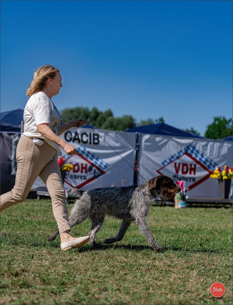 Dog Show - Hallbergmoos 🇩🇪 11-12/07/2026