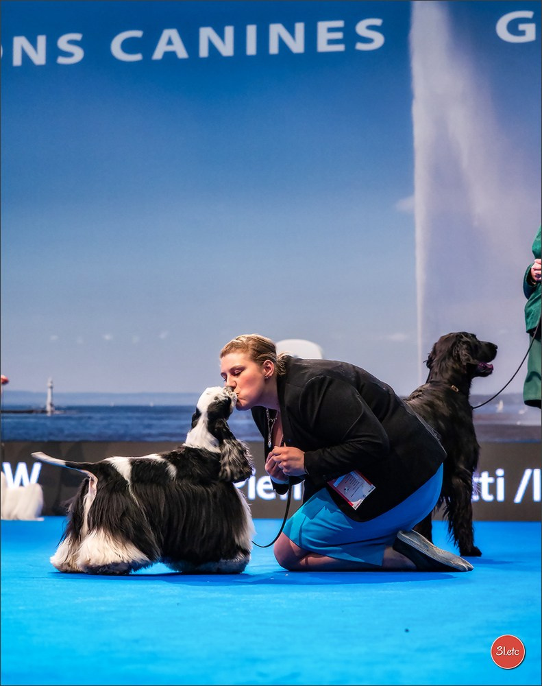 Photographie animalière. Photographe à Strasbourg | Portraits, Studio, Enfants, Événements