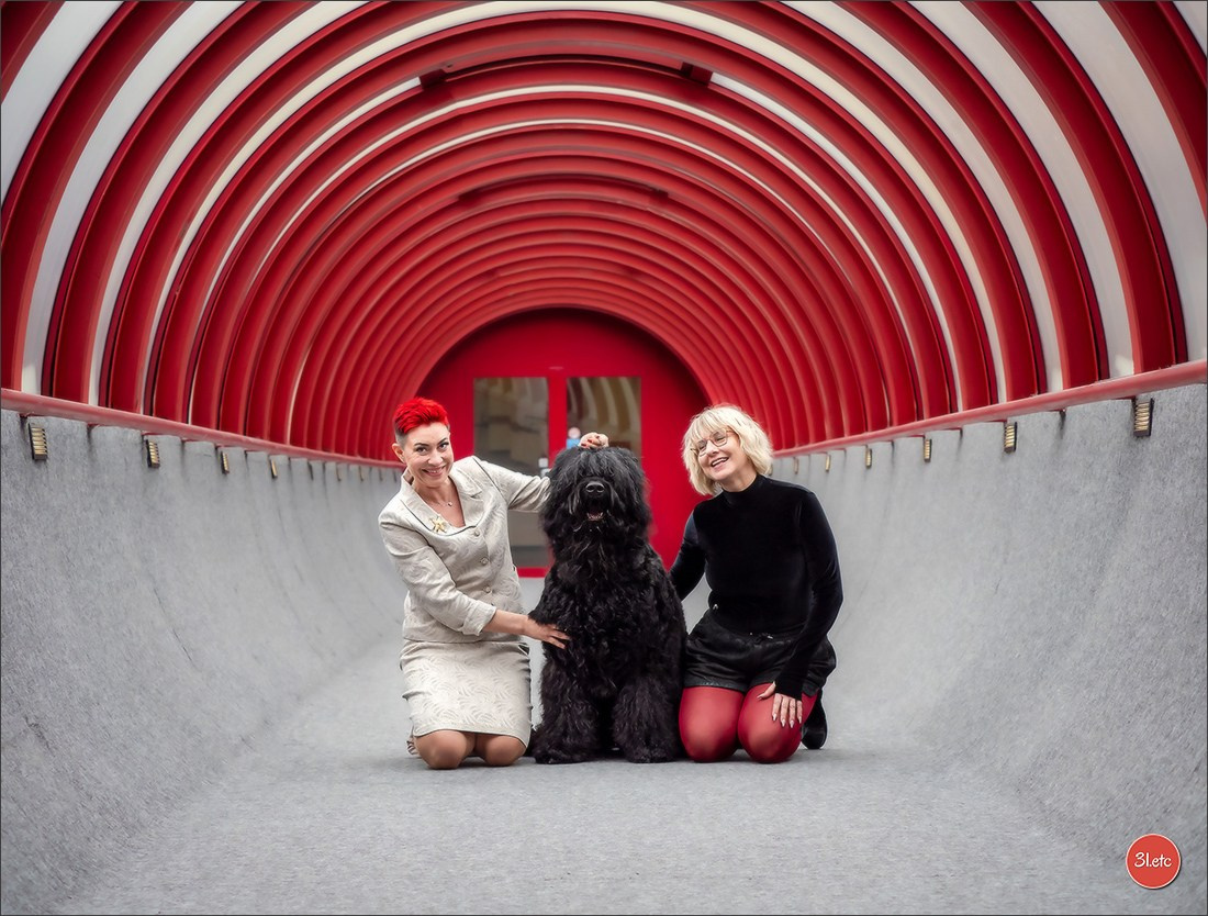 13-14.12.2025   🇧🇪   Brussels Dog Show. Photographe à Strasbourg | Portraits, Studio, Enfants, Événements