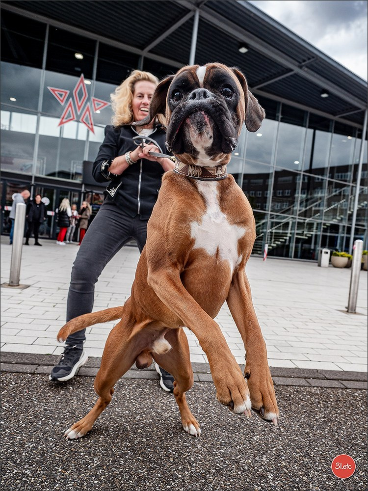 🇳🇱 IDS Maastricht 27/28 Sept 2025 🇳🇱. Photographe à Strasbourg | Portraits, Studio, Enfants, Événements