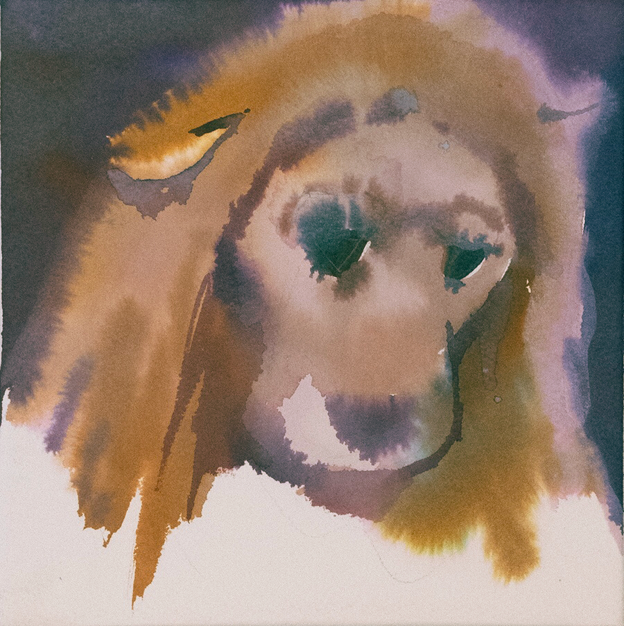 Частный парадайс. Alina Kugush