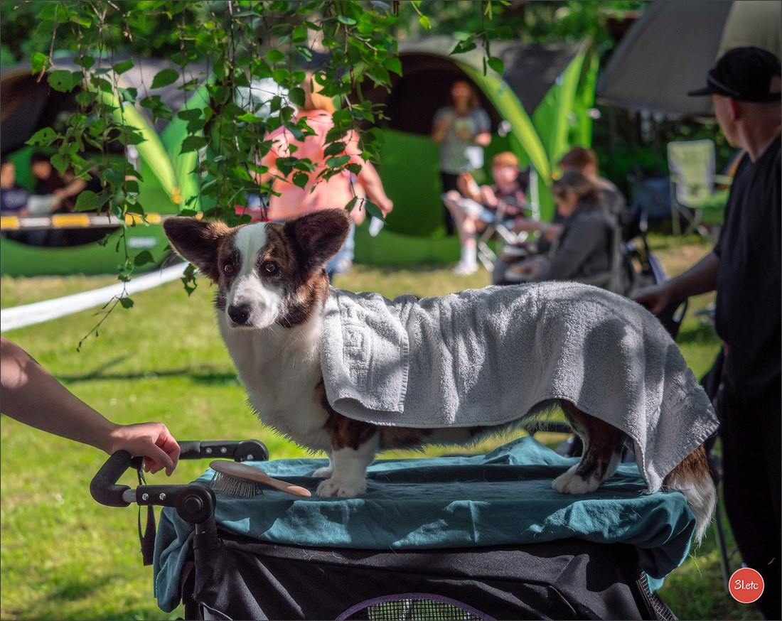 Украсть фото разве сложно.... Photographe à Strasbourg | Portraits, Studio, Enfants, Événements