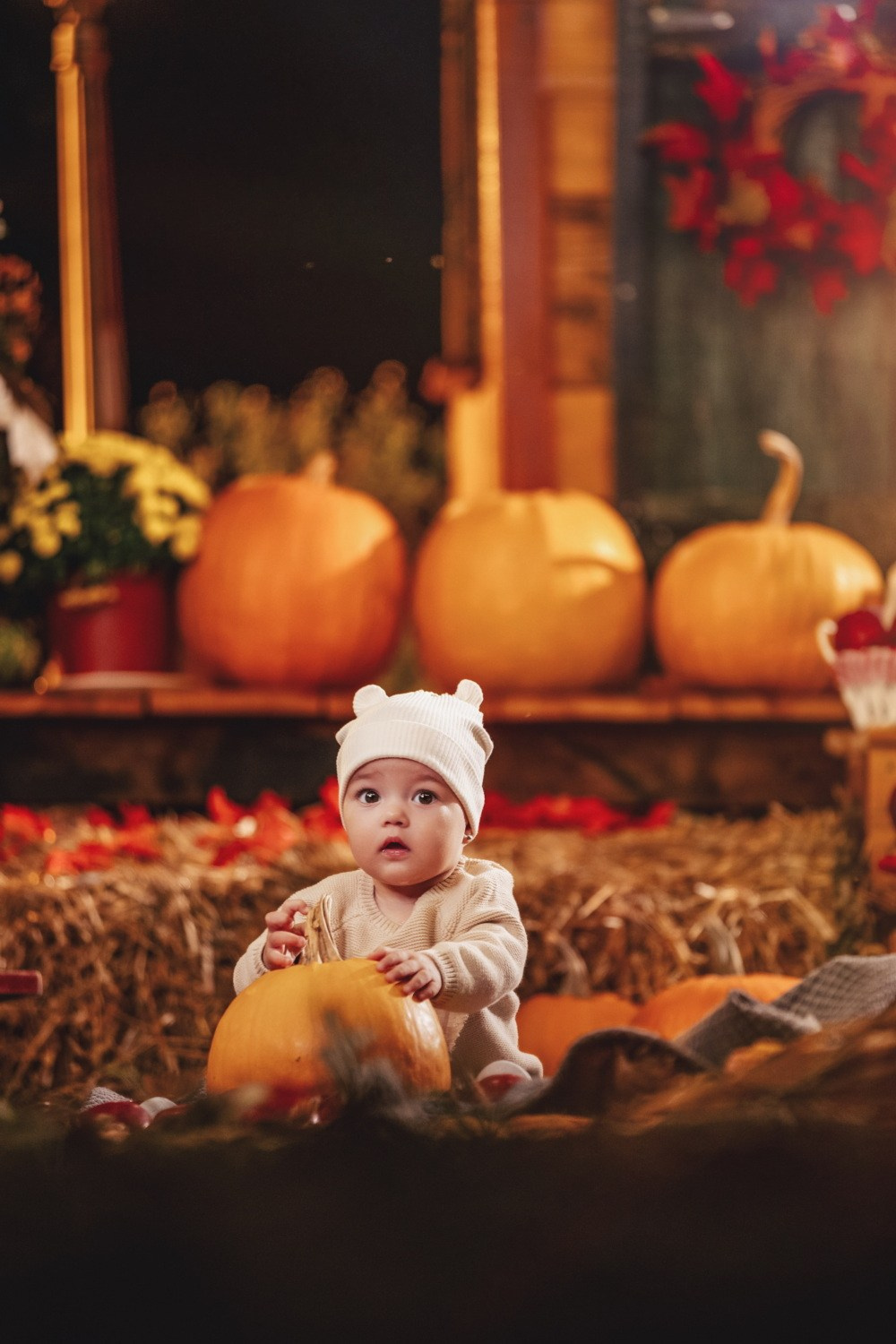 JESENJE FOTOGRAFISANJE. Fotografi iz Backog Petrovca David i Andrea Stojanovic