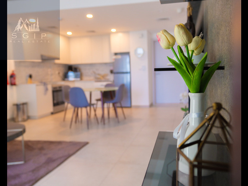 Real estate. Photographer in Dubai Dmitry Gromov