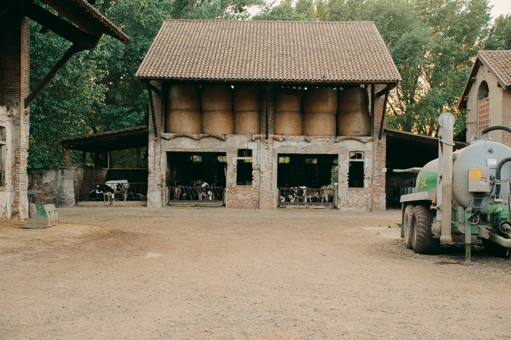 Farm. Anastasiia Buchinskaia Fotografa Milano