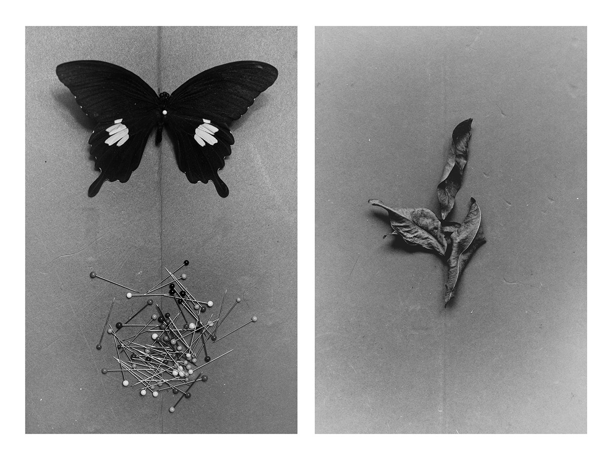 Catalogue of Forgone Objects. Jana Gertz